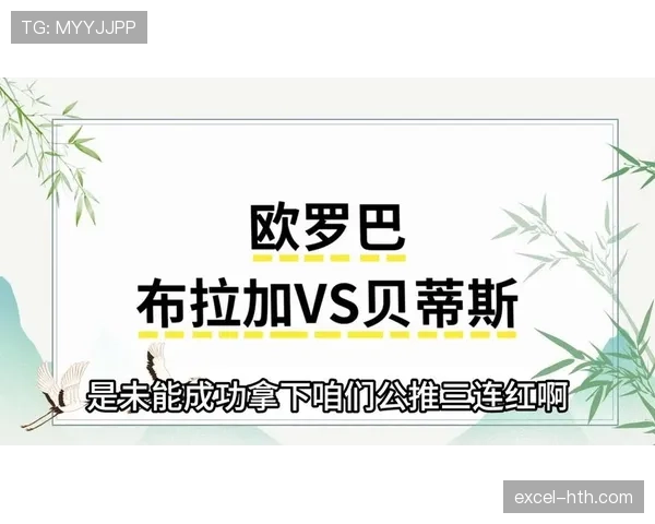 新西兰队冲击2026美加墨世界杯前景分析：能否时隔16年重返决赛圈